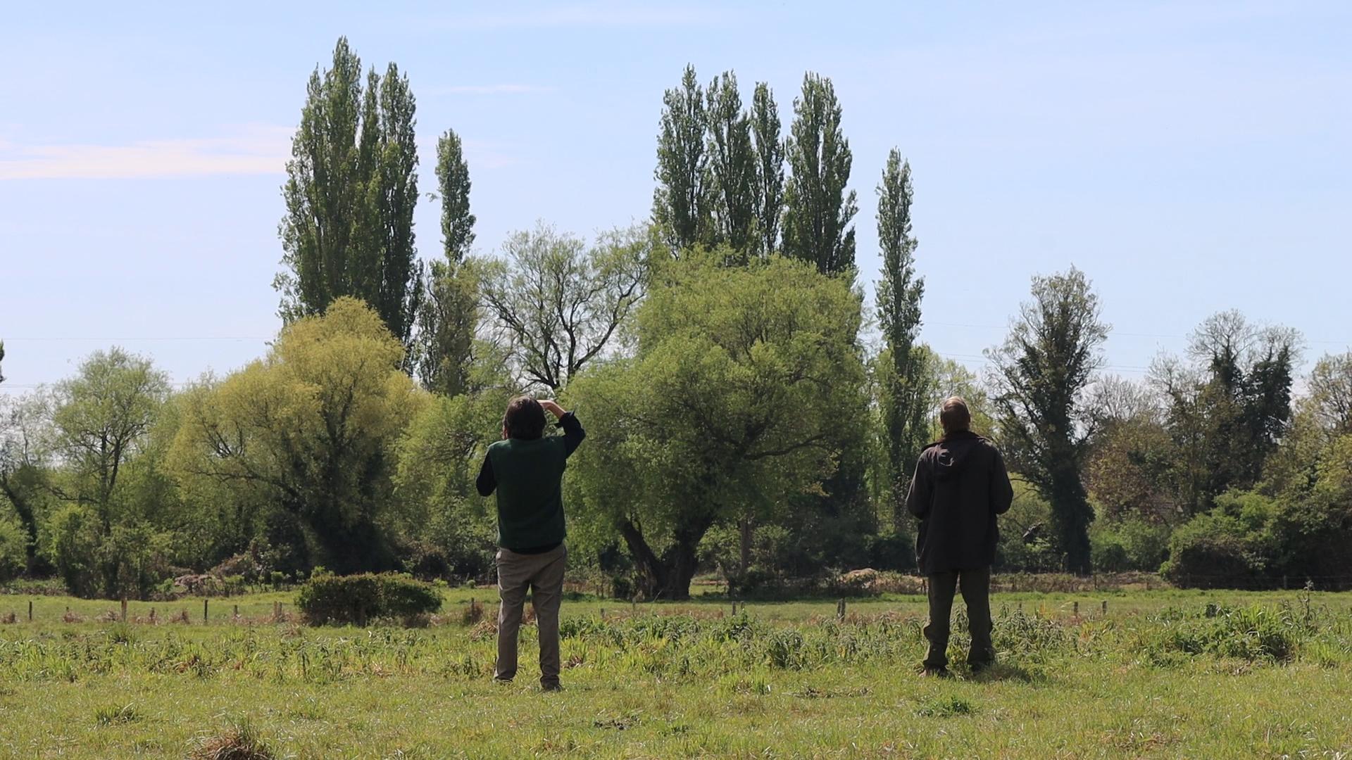Lecture on Birdsong - Andy Holden 